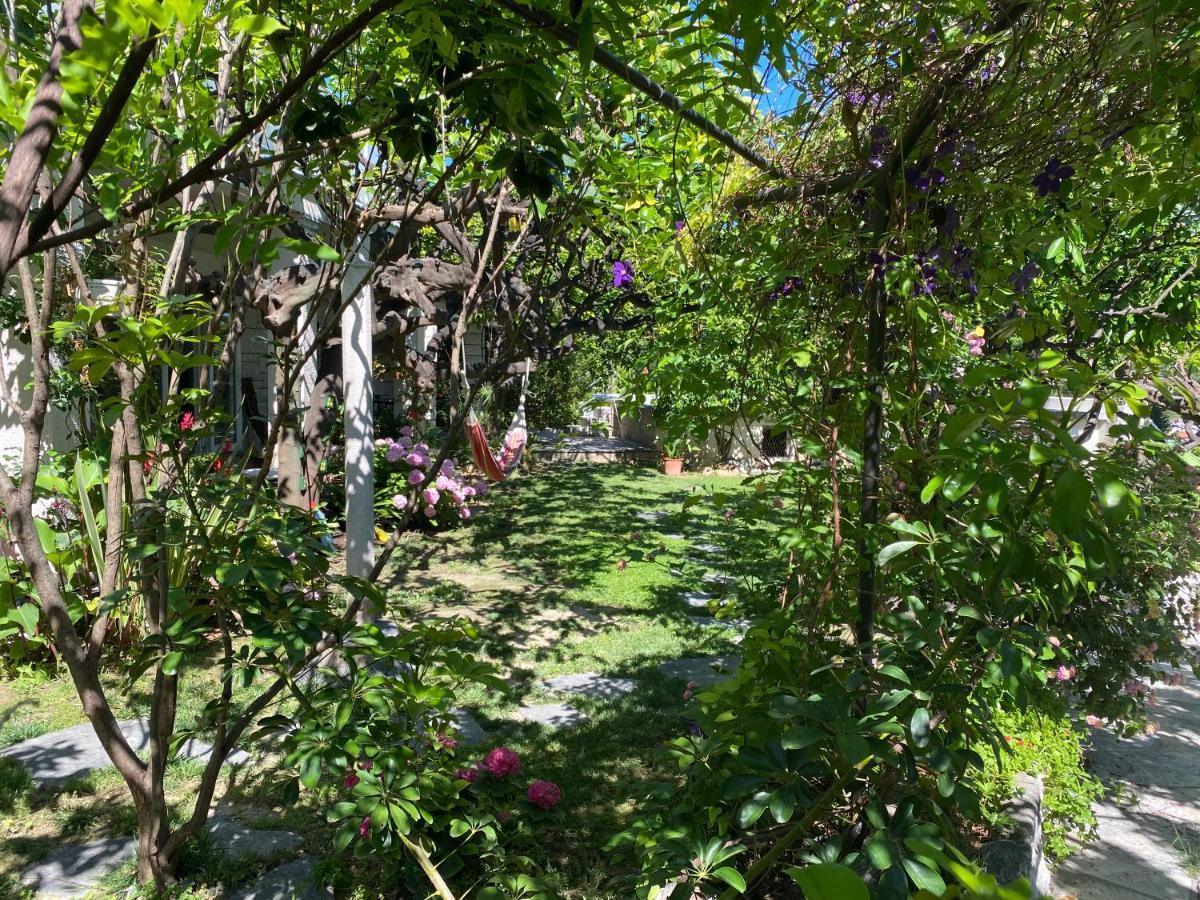 Terrace Apartment Hvar Town Luaran gambar